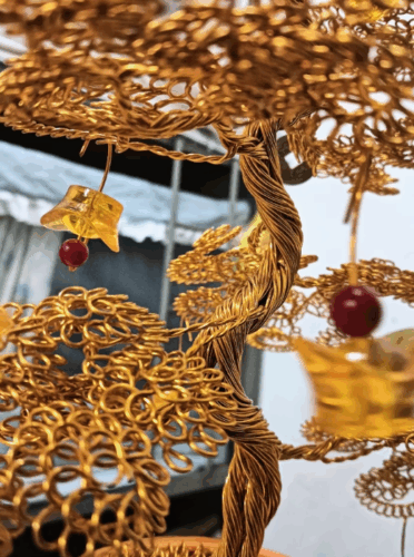 Click to view full screen Money Tree photo review